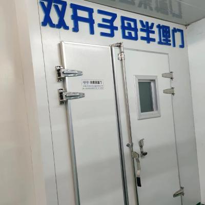 雙開子母半埋門